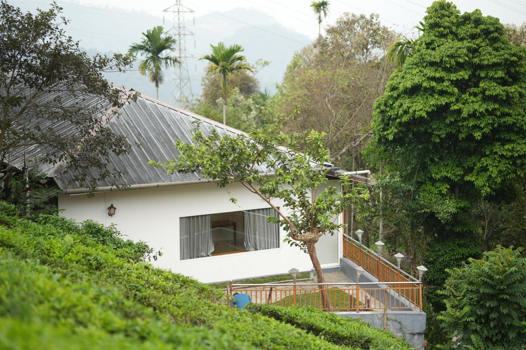 Misty Bush Munnar B&B 외부 사진